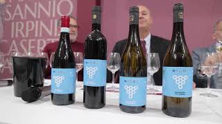 Vinitaly 2023 progetto VINTES  Valentino Salvatore [upl. by Schonfeld631]