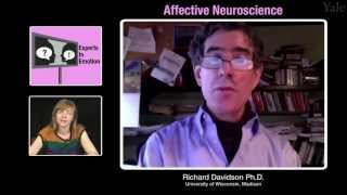 Experts in Emotion 81  Richard Davidson on Affective Neuroscience [upl. by Noland]