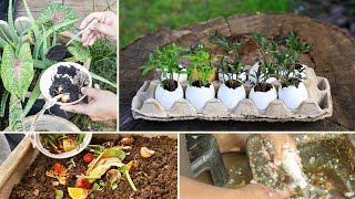 11 Gardening Hacks That Will Blow Your Mind Away [upl. by Enneite]