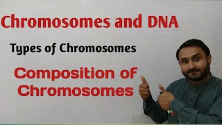 Chromosomes and DNA  Types of Chromosomes  Composition of Chromosomes  Class 12 Biology [upl. by Nhguaved]