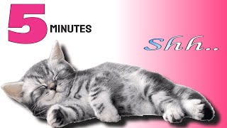 Music To Make Your Cat Sleep Within 5 Minutes  Cat Sleep Music [upl. by Chlores55]