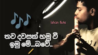 thawa dawasak  තව දවසක් 🪈  flute Cover  ishan flute [upl. by Corsetti]