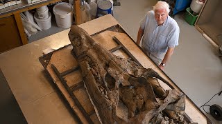 Worlds First 3D Scan of a Pliosaur  Attenborough and the Giant Sea Monster  BBC Earth Science [upl. by Eckhardt]