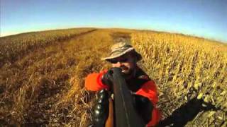 South Dakotas Pheasant Hunt Getaway [upl. by Soule]