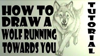 How to draw a wolf running towards you [upl. by Ettenrahs]