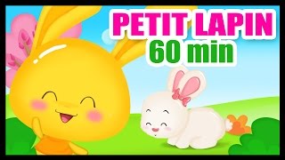 Mon petit lapin  60 min de comptines pour les bébés et les maternelles [upl. by Atsylak]