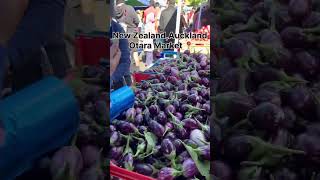 Auckland Fruit and Vege Otara MarketHow to why fruitswhere to buy Easy Market Trending on youtu [upl. by Yuh]