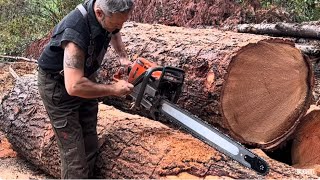 Husqvarna 572xp  chainsaw Sharpening new chain vs old [upl. by Howund7]