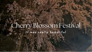 【Cherry Blossom Festival】日本三大夜桜  弘前公園に行きました🌸 花見 お花見 桜 vlog [upl. by Oly]