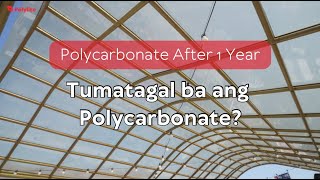 Tumatagal Ba Ang Polycarbonate  POLYLITE PH [upl. by Adnol]