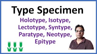 Type Specimen  Nomenclature Type  Typification in botany [upl. by Ailaham]