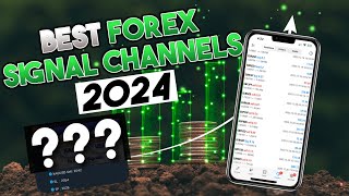 Testing the BEST Forex Signal Channels of 2024  The CopyTrader [upl. by Bigot]