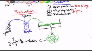 Biofertilizers [upl. by Tunnell540]