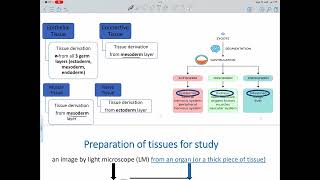 Lecture 1 Histology amp its Methods of study [upl. by Hgielrak459]