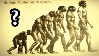 Die harten Fakten über die Evolutionstheorie [upl. by Maggee]