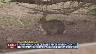 Tularemia spreads to 4th Colorado county [upl. by Arriat]