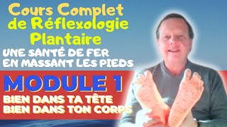 Réflexologie Plantaire Cours Gratuit en Direct Jamais diffusé en Public  Partie 1 [upl. by Nytram]