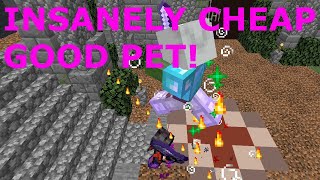 OP CHEAP PET Hypixel Skyblock [upl. by Assilak]