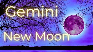 Gemini ♊ 🌙 Manifesting Your Destiny February 9 2024 Intuitive Tarot Reading [upl. by Atneuqal]