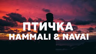 HammAli amp Navai  Птичка [upl. by Jehiel]