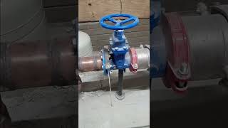 Heavy Duty water booster pumps [upl. by Granniah]