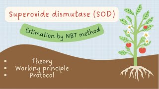 In vitro Superoxide Dismutase determination in plants by Nitro blue tetrazolium NBT method [upl. by Fitzgerald]