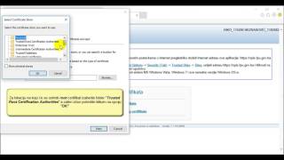 Preuzimanje i instaliranje certifikata za pristup nPISEJS aplikacijama [upl. by Retsila]