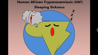 Human African Trypanosomiasis HAT Tbrucei مرض النوم [upl. by Asselam]