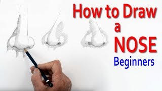 How to Draw a Nose  Beginners [upl. by Aehsa]