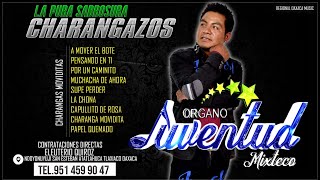 Mega Mix De CharangasOrgano Juventud Mixteco 2022 Lo Mejor De Lo MejorCharangazos De Lujo [upl. by Ytitsahc]