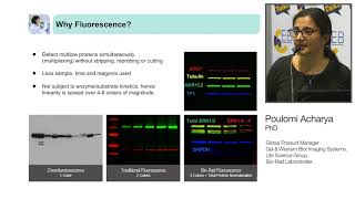 TrueBlot® Antibodies  Tutorial for IP  Western Blot [upl. by Peedsaj]