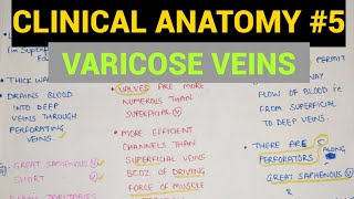 Varicose Veins  Clinical Anatomy  Lower Limb [upl. by Hewie767]