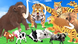 Giant Tiger Wolf Attacks Cow Cartoon Buffalo Saved By Woolly Mammoth Elephant VS SaberTooth Tiger [upl. by Corron]