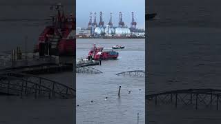 Hamburg Fischmarkt Überflutung regen Unwetter [upl. by Plotkin299]