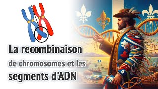 La recombinaison de chromosomes et les segments dADN [upl. by Atived]