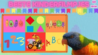 Beste Kinderfilmpjes voor Peuters en Kleuters💯 Alfabet❤️Cijfers💙Kleuren🧡Tellen💜Vormen💛Woordjes💚60MIN [upl. by Cornelie]