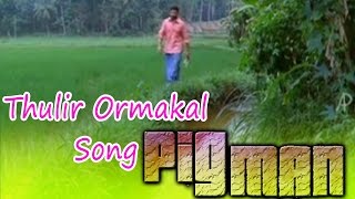 Pigman Malayalam Movie  Songs  Thulir Ormakal Song  Jayasurya  Ramya Nambeesan [upl. by Alhahs]