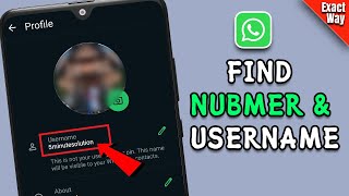 How to find your whatsapp nubmer and username  Full Guide [upl. by Noemis294]