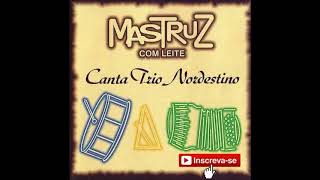 FORRÓ PESADO Mastruz com Leite  Canta Trio Nordestino [upl. by Rehpotsrhc]