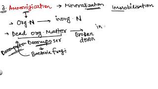 Ammonification  3 Stage of Nitrogen Cycle [upl. by Laurella]