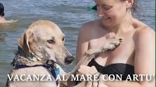 SIAMO ANDATI A LIGNANO SABBIADORO CON IL NOSTRO CANE ARTU ❤️🐶 [upl. by Adlecirg]