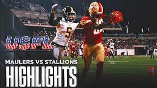 Pittsburgh Maulers vs Birmingham Stallions Highlights  USFL Championship [upl. by Lleneg494]