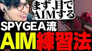 SPYGEAが長年やっている「AIM練習法」を紹介する【VALORANT】 [upl. by Morly]