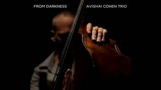 Avishai Cohen  Beyond [upl. by Studner594]