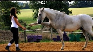 Niño Liberté et Dressage en cordelette [upl. by Kcirrej]