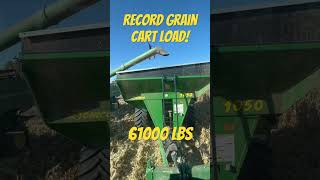 Record grain cart load 61000 lbs 🌽🇺🇸😃 farming johndeere harvest [upl. by Eilhsa]