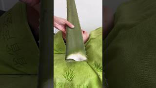 NATURAL ALOEVERA GEL FOR FACE beauty aloevera face natural facepackforfairskin youtubeshorts [upl. by Deland247]