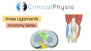 Knee injury Injuries  Everything You Need To Know  Dr Nabil Ebraheim [upl. by Inah]