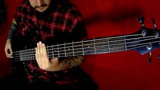 Brujeria  Brujerizmo Bass [upl. by Kort]