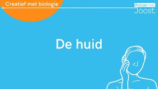 De huid  Creatief met Biologie [upl. by Einna]